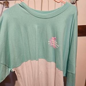 2023 Run Disney Princess Passholder Spirit jersey